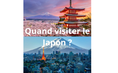 Hanami, la saison propice pour visiter le Japon
